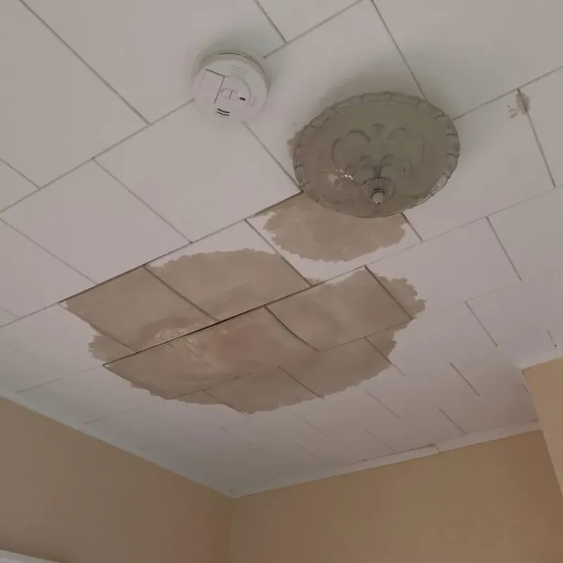 Ceiling Water Damage Repair in Mountainside, NJ